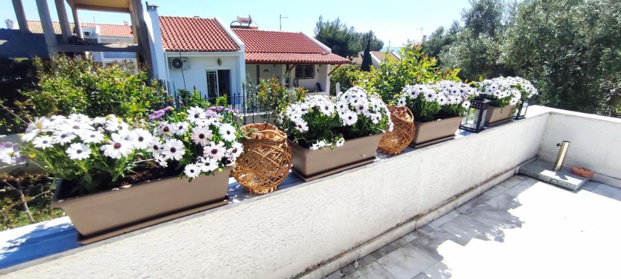 Villa Βianca In Sithonia Геракини Экстерьер фото