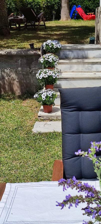 Villa Βianca In Sithonia Геракини Экстерьер фото